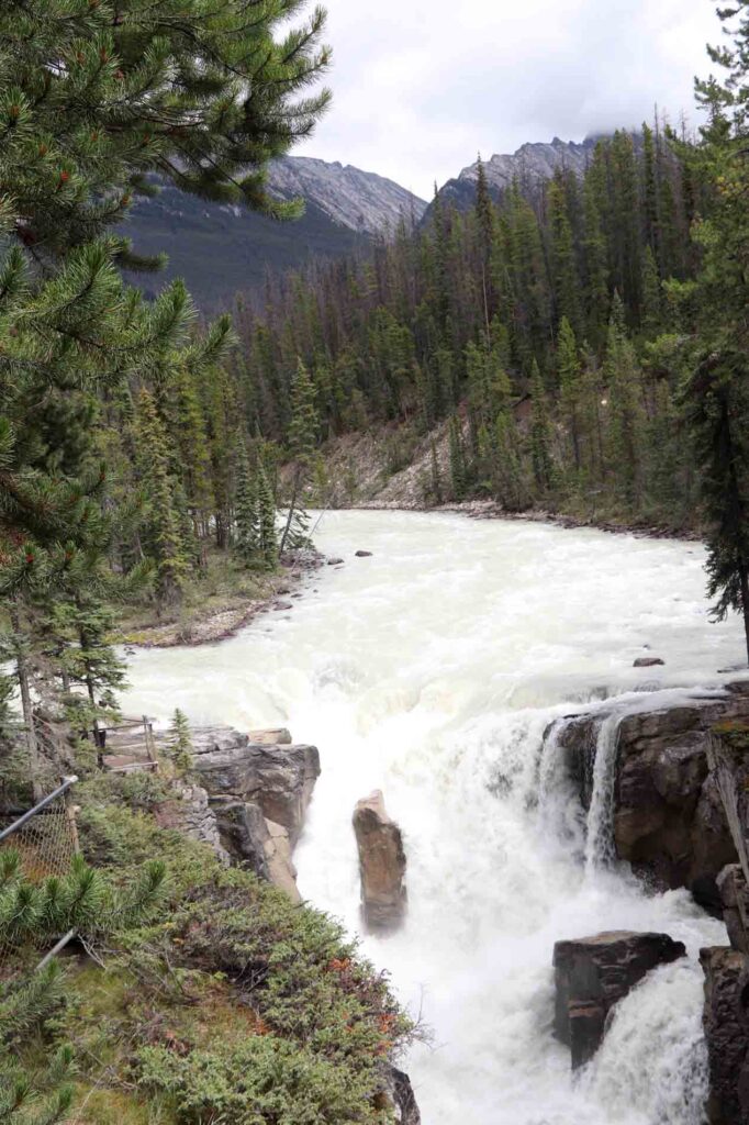 Omgeving Sunwapta falls