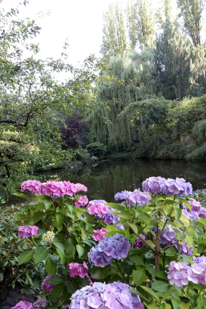 Hortensia Sunken Garden
