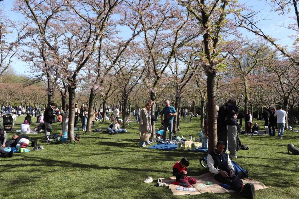 Drukte in het Bloesempark