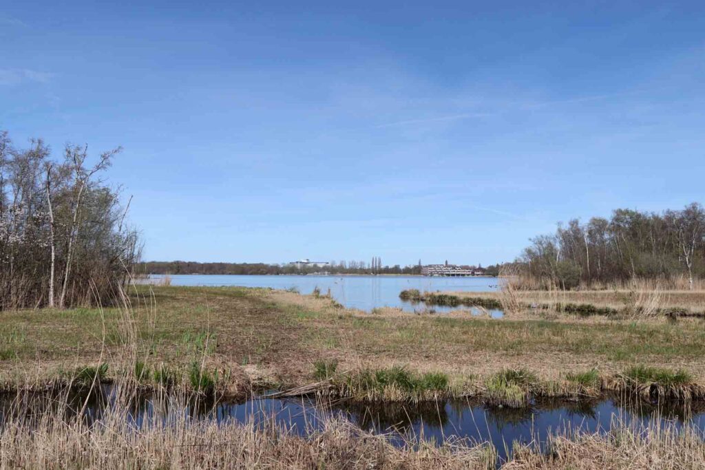 Het eerste stuk veen in de verte het gemeentehuis