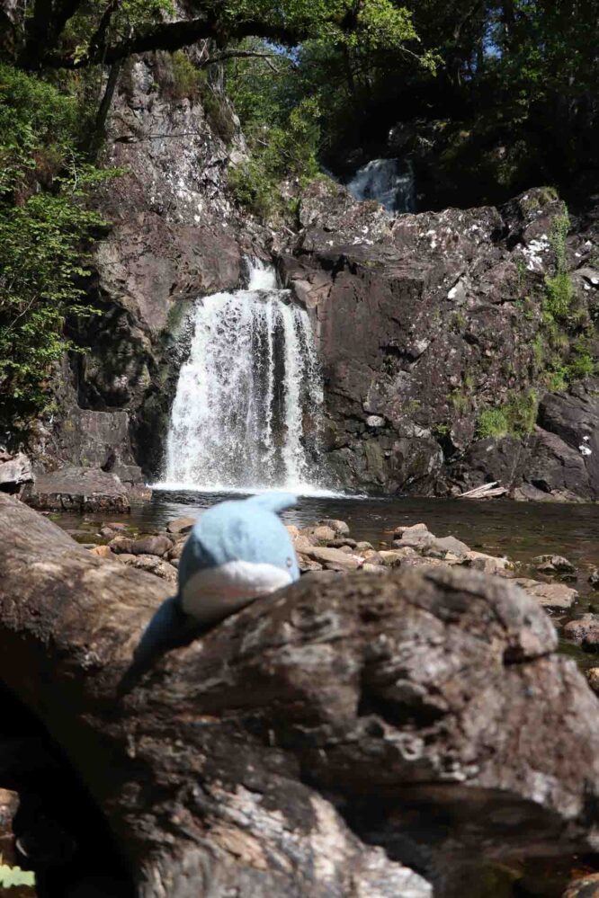 Haaidie waterval