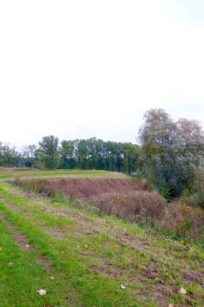 Ravelijn