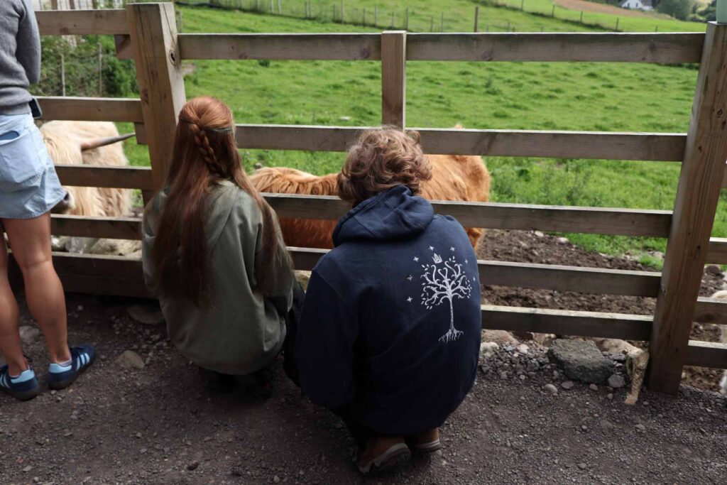 Schotse Hooglanders knuffelen
