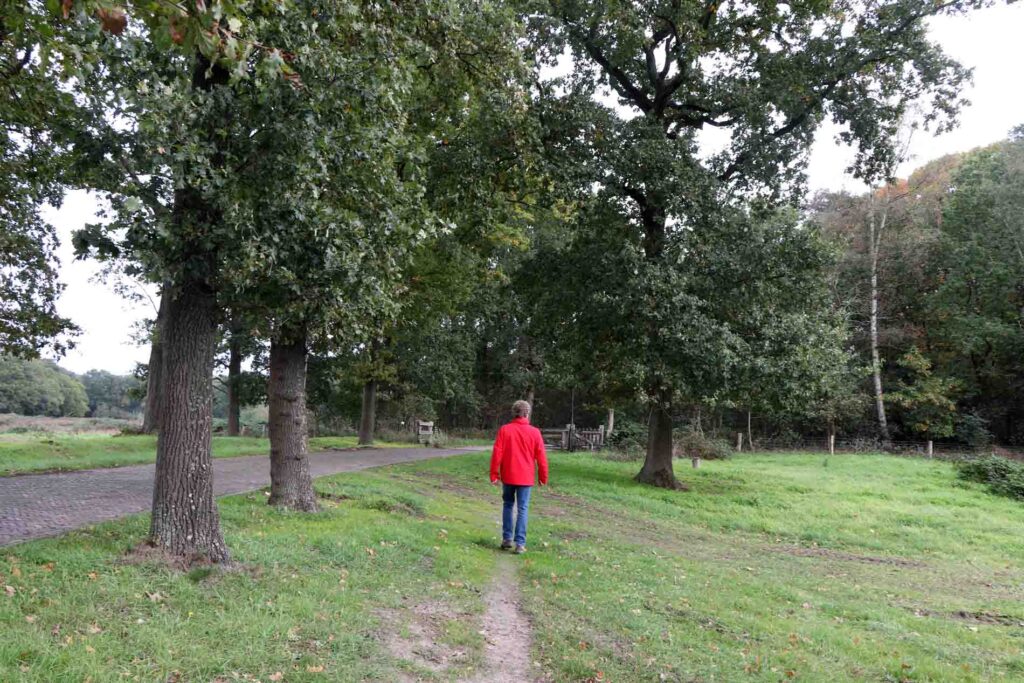 het Wasven